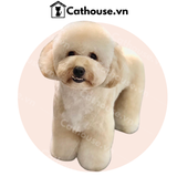  Cắt tỉa chó Poodle mặt tròn - Kiểu Teddy Bear 