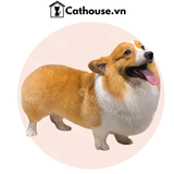  Cắt Tỉa Chó Corgi Mông Trái Tim 