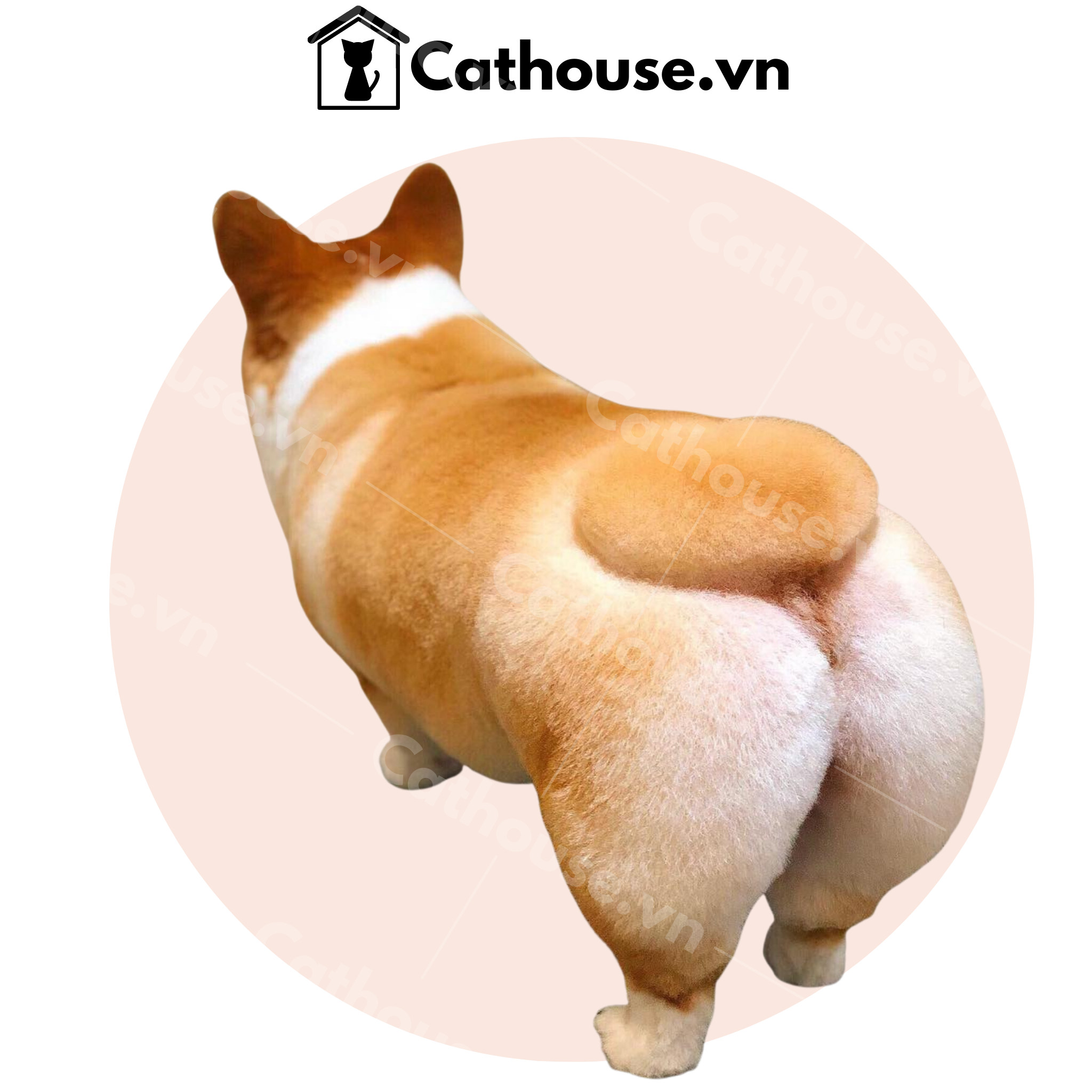 Cathouse Cathouse