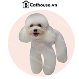  Cắt Tỉa Chó Poodle Tai Dài - Kiểu Hà Lan 