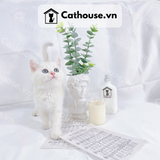  Mèo Anh Lông Ngắn Màu Silver Golden - ALN139 