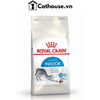  Hạt Mèo Indoor Royal Canin 