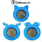  Cỏ Mèo Catnip Gắn Tường 