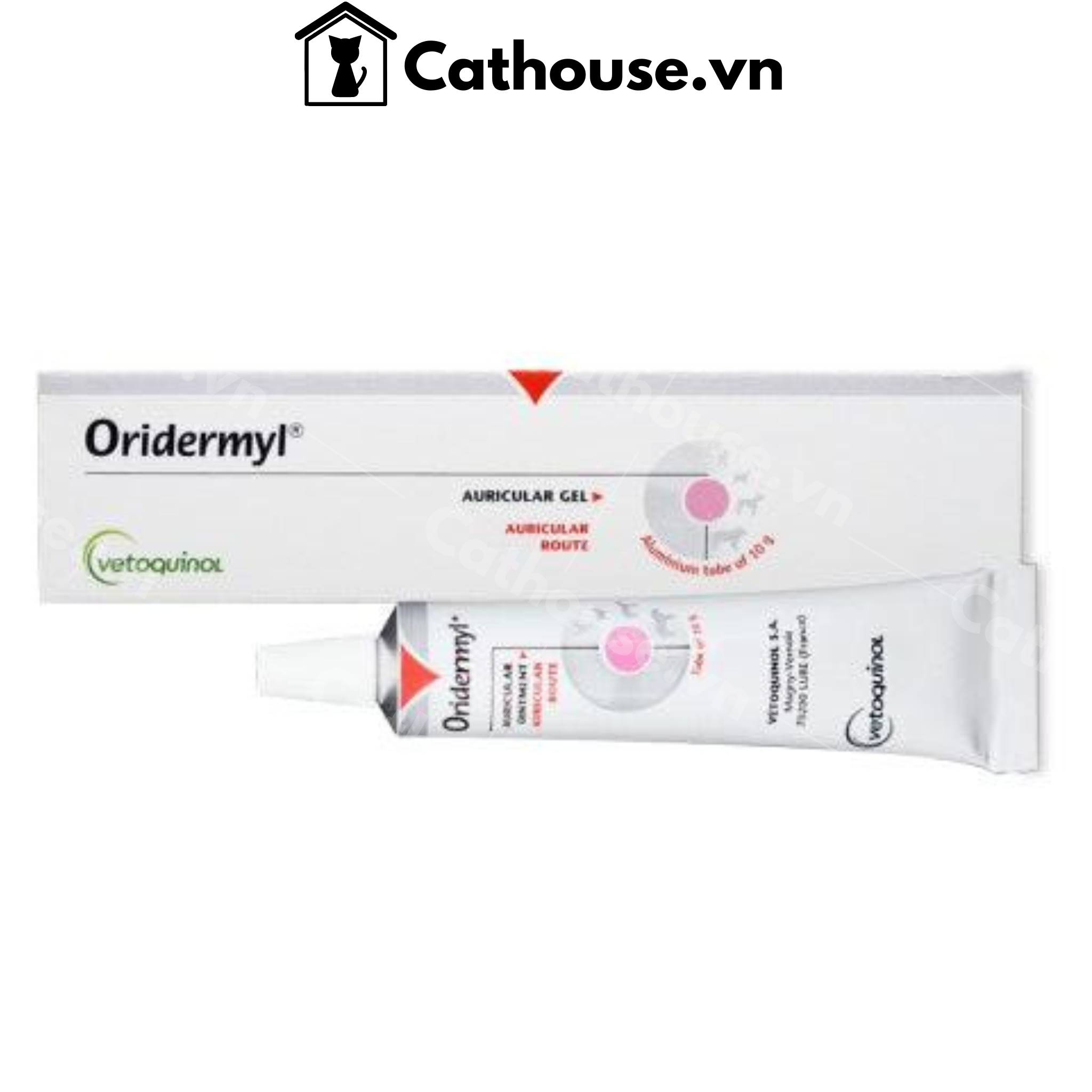  Thuốc Oridermyl 10G Bôi Trị Viêm Tai Dùng Cho Chó Mèo 