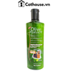  Sữa Tắm Olive Chó Mèo 