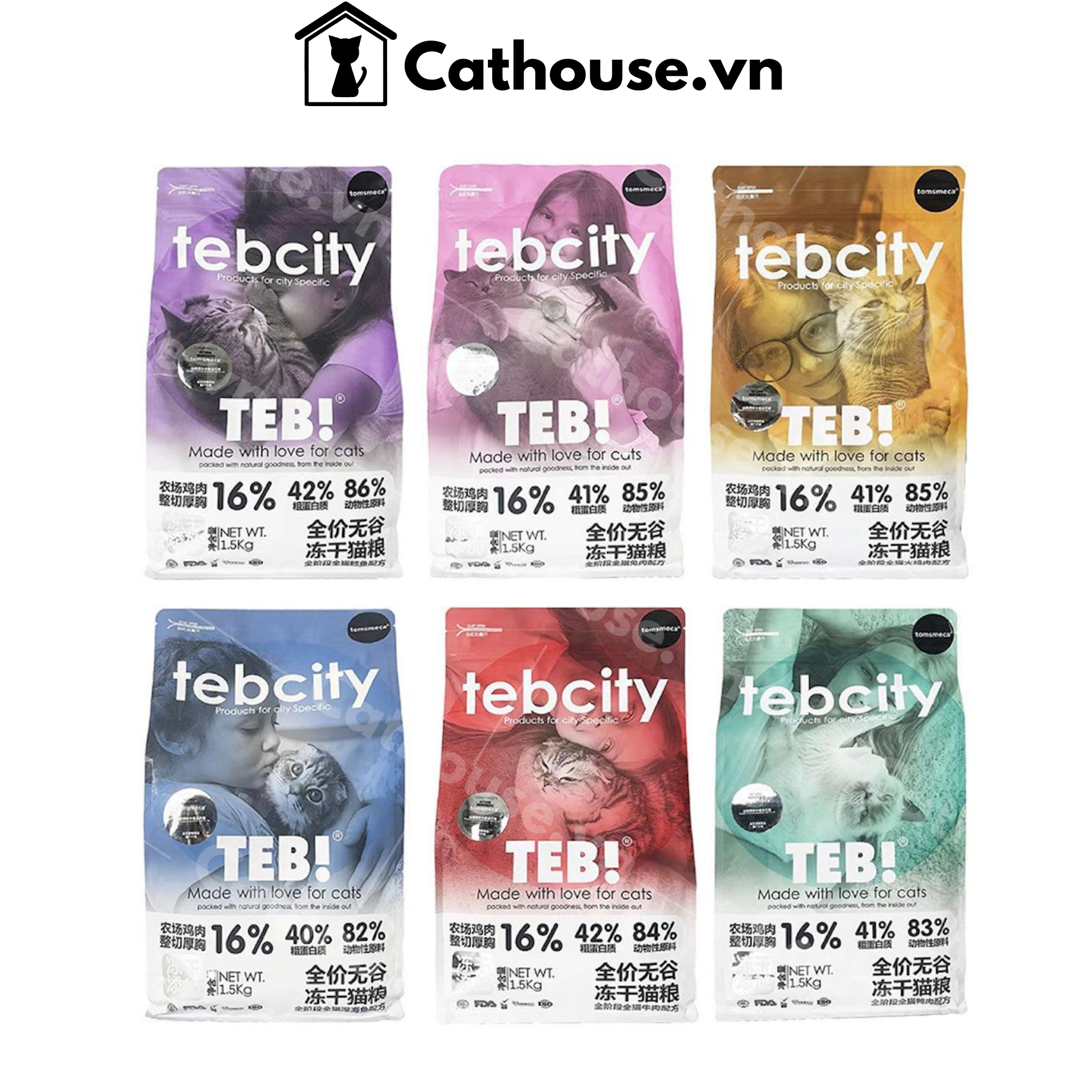  Hạt Teb City Cho Mèo 