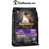  Hạt Chó Con Ganador DHA Puppy 