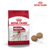  Hạt Chó Medium Adult Royal Canin 