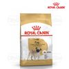  Hạt Chó Pug Adult Royal Canin - Pug trưởng thành 
