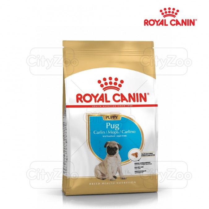  Hạt Chó con Pug Puppy Royal Canin 