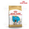  Hạt Chó con Pug Puppy Royal Canin 