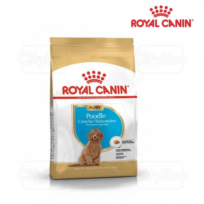  Hạt Chó con Poodle Puppy Royal Canin 