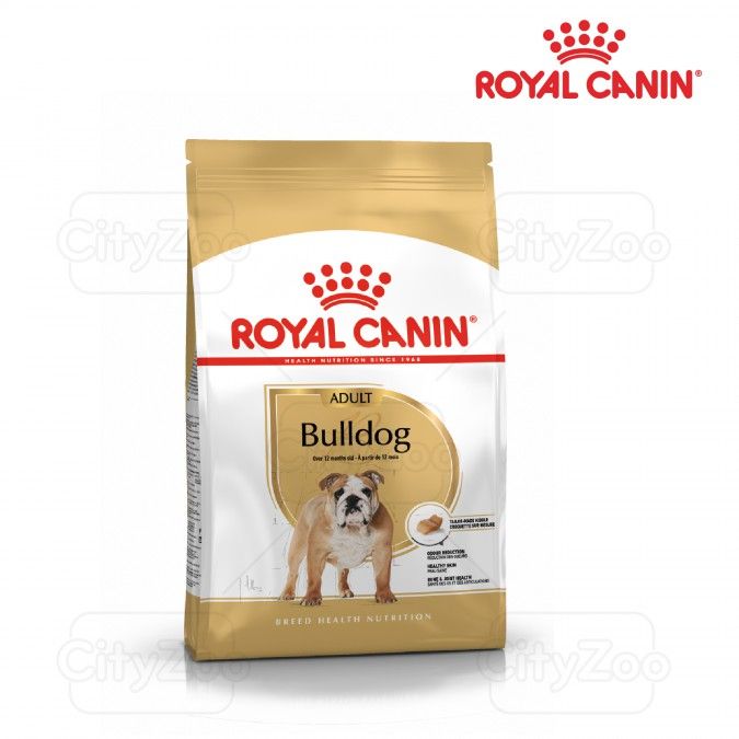  Hạt Chó Pulldog Adult Royal Canin - Pulldog trưởng thành 