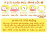  Bánh Mọc Răng Heinz Dành Cho Bé Từ 6 - 36 tháng 