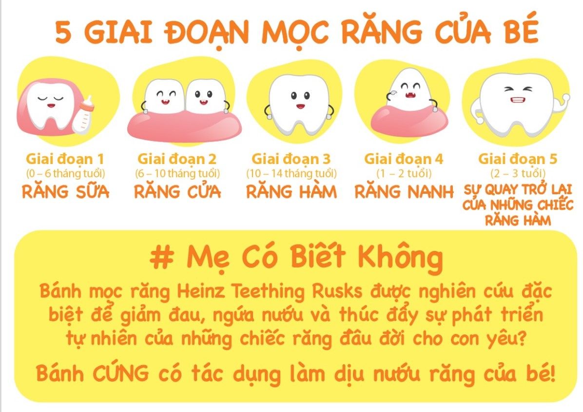  Bánh Mọc Răng Heinz Dành Cho Bé Từ 6 - 36 tháng 