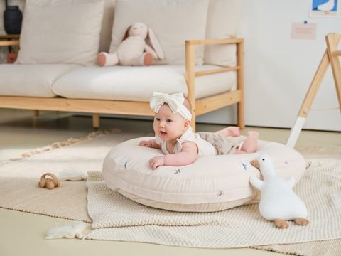  Vỏ Gối Chống Trào Ngược cotton 4 mùa Dono&Dono 