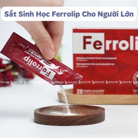  Sắt Sinh Học Ferrolip Dạng Gói Cho Người Lớn 