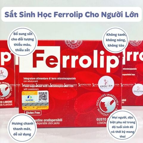  Sắt Sinh Học Ferrolip Dạng Gói Cho Người Lớn 