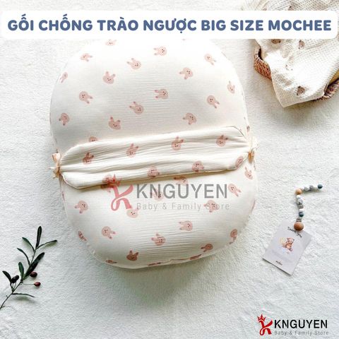  Gối Chống Trào Ngược Dài Mochee 