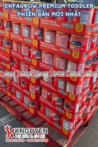  Sữa bột Enfagrow Premium đỏ 1.04kg (1-3 tuổi) 