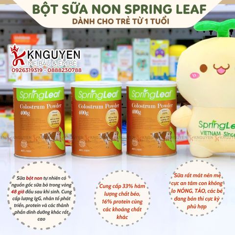 Sữa Bò Non Springleaf 400g 