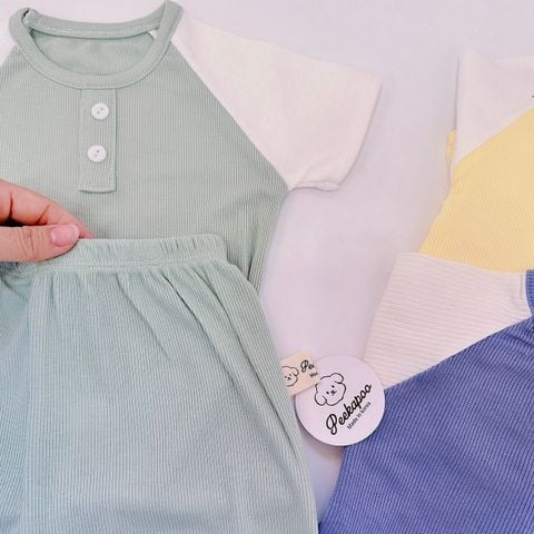  Set bộ cộc tay cotton tăm Peekapoo 