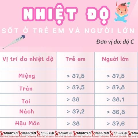 Nhiệt Kế Điện Tử Đầu Mềm Bremed 