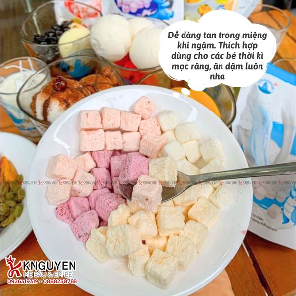  Sữa Chua Sấy Lạnh Hạ Long 