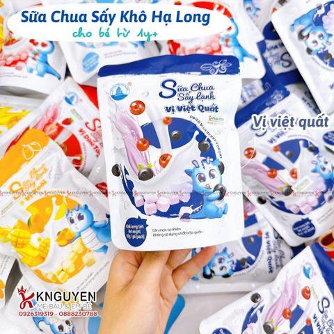  Sữa Chua Sấy Lạnh Hạ Long 