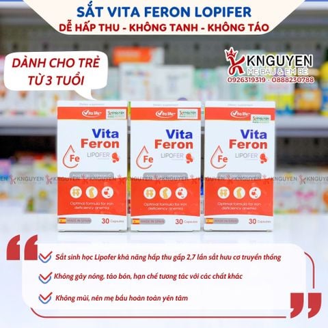  Viên uống bổ sung sắt VITA FERON 