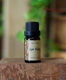  Tinh dầu 10ml Cam Hương- Bergamot 