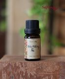  Dầu 10ml Đàn Hương Ấn- Indian Sandalwood Blend Oil 