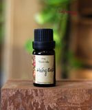  Tinh dầu 10ml Húng Quế Tây- Sweet Basil 