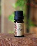  Tinh dầu 10ml Cam Ngọt- Sweet Orange 