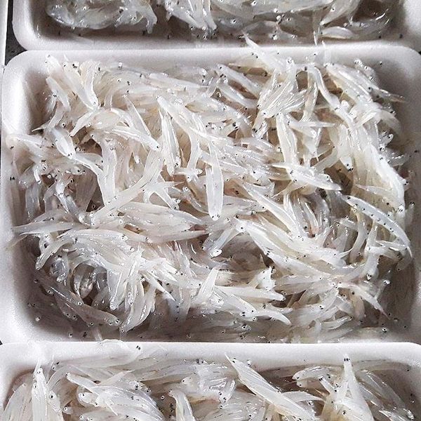 ca-com-sua-mien-trung