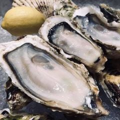 hau-nhat-leconseafoods-miyagi-oyster