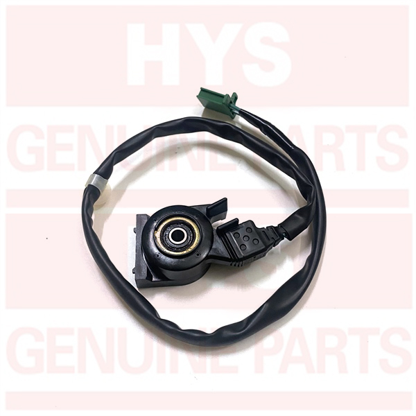 CẢM BIẾN CHỐNG NGHIÊNG VARIO 2017 VARIO 2018