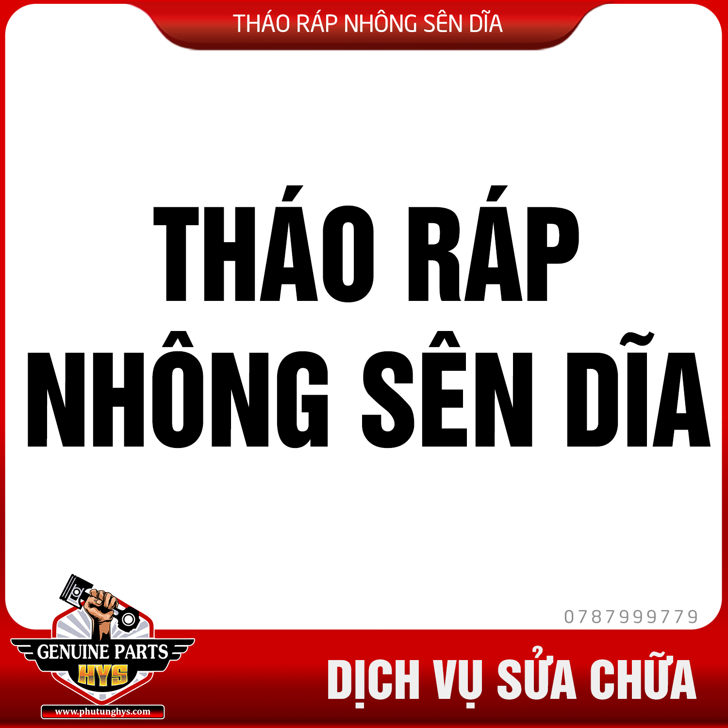 THÁO RÁP NHÔNG SÊN DĨA