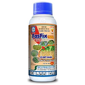 Fasfix 150SL - diệt cỏ ở giai đoạn hậu nẩy mầm