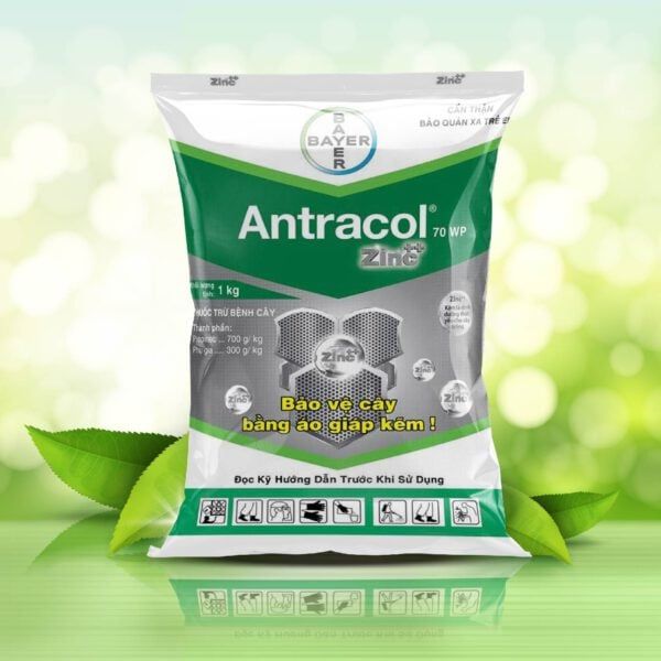 ANTRACOL 70WP