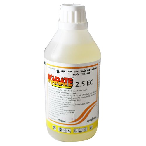 Karate 2.5EC
