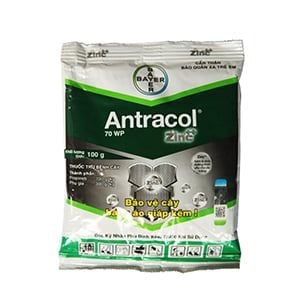 Antracol 70WP - Thuốc trị nấm bệnh cho cây trồng