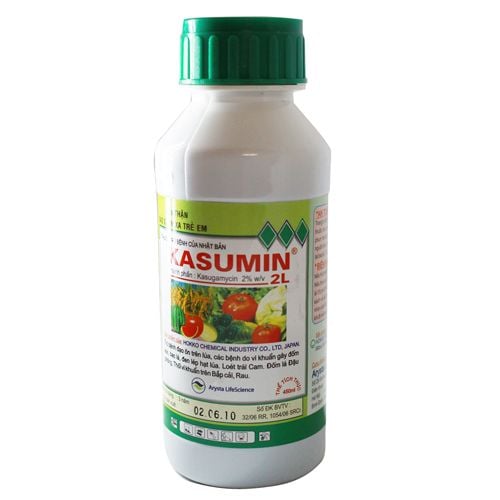 Kasumin 2L