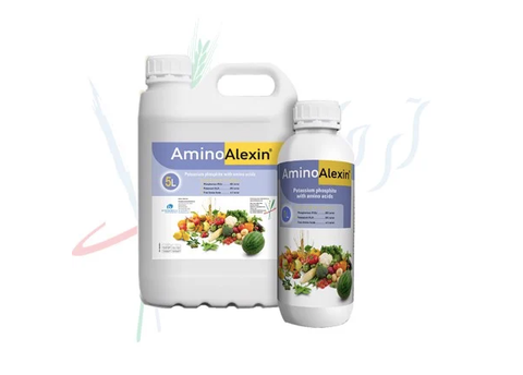  AMINO ALEXIN 