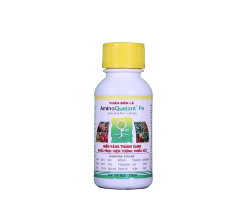  AMINO QUELANT-FE - Khắc phục hiện tượng thiếu sắt 