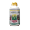 AMINO QUELANT-FE - Khắc phục hiện tượng thiếu sắt