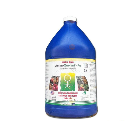  PHÂN BÓN LÁ AminoQuelant-Fe - khắc phục hiện tượng vàng lá, bạc lá, thối thịt lá và chống hiện tượng rụng lá hàng loạt do thiếu sắt. 