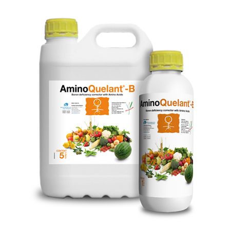 AMINO QUELANT B