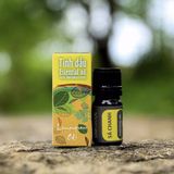  Tinh Dầu Sả Chanh Thiên Nhiên 