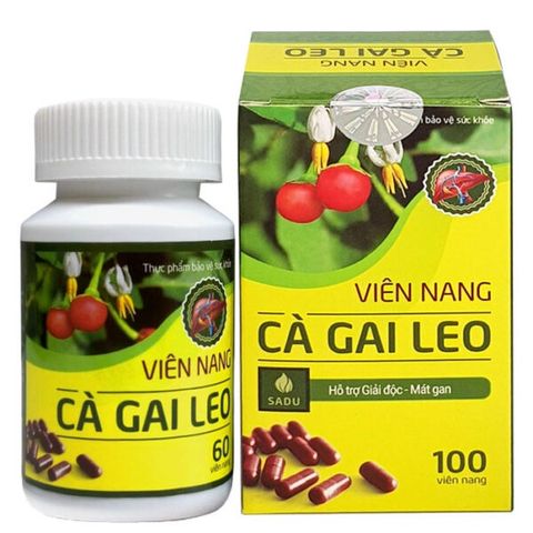  Viên nang cà gai leo - Tăng cường chức năng gan 